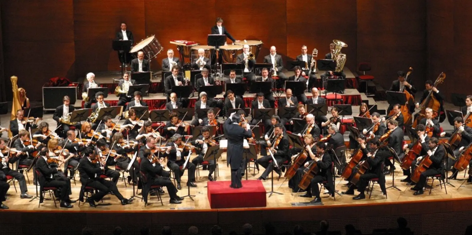 Orquesta sinfónica dividida visualmente en ocho áreas organizativas